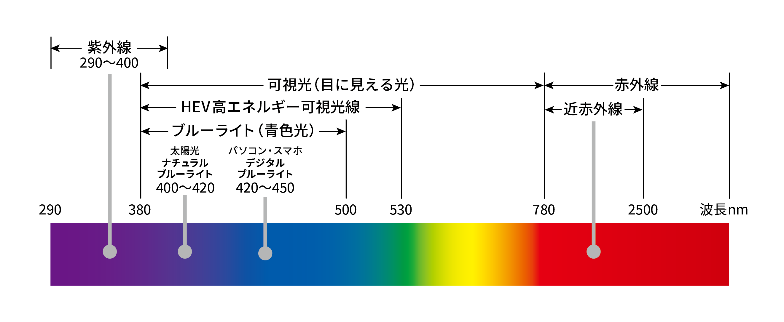 紫外線と可視光線の図